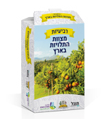 משחק רביעיות בנושאים שונים